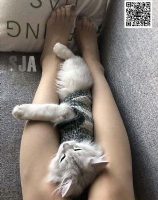 欧美黄色视频大片_剧情片日本电影免费